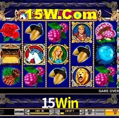 Experiência VIP 15Win
